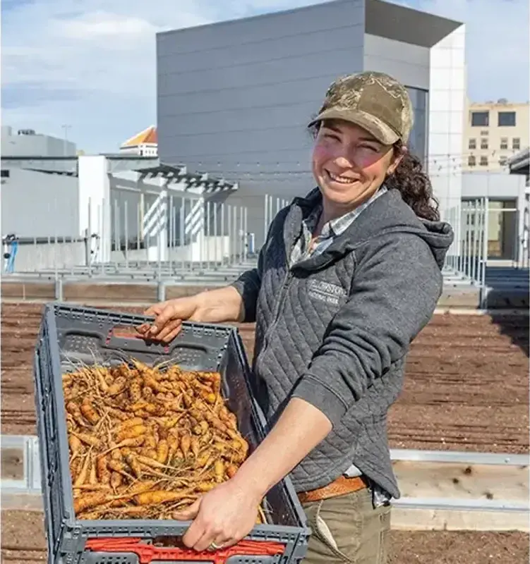 Car Park Produce — The Furrow, Summer 2024