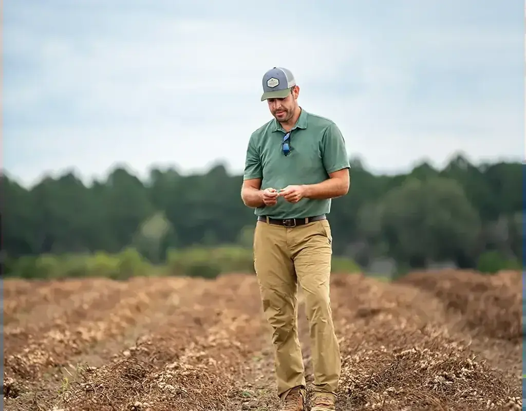 Crunching the Numbers — The Furrow, November 2025