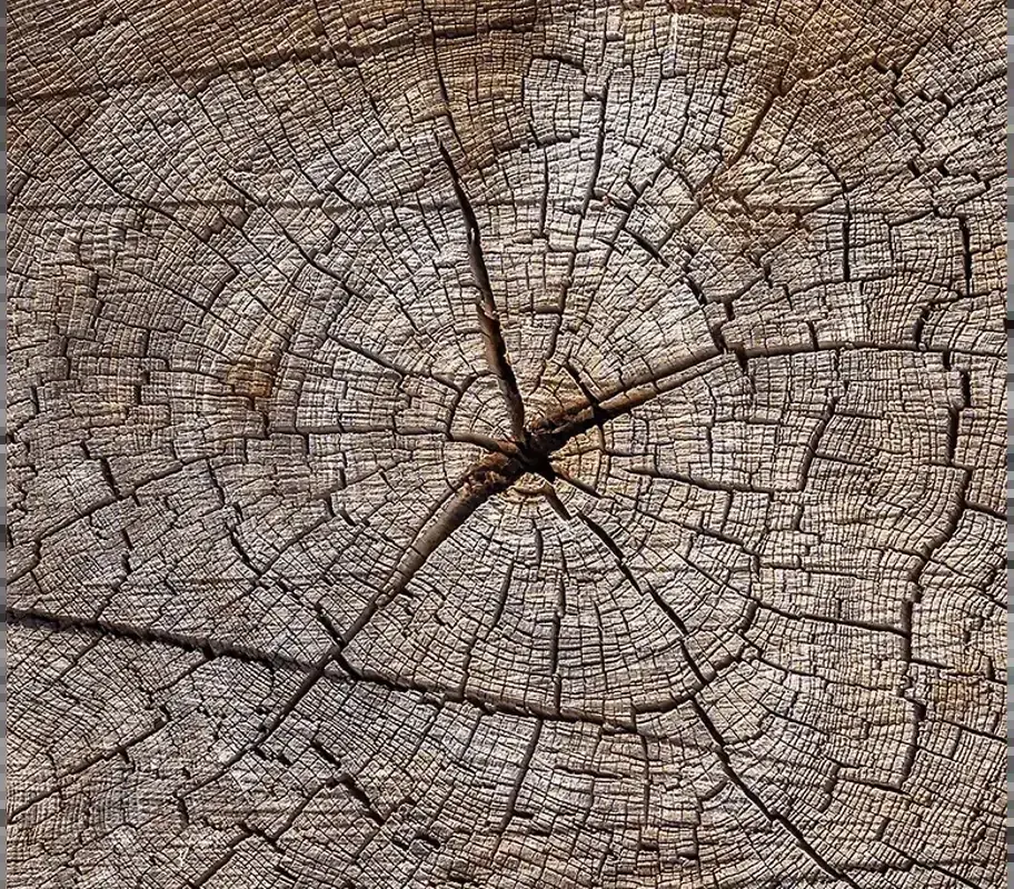 Firewood Basics — The Furrow, December 2025