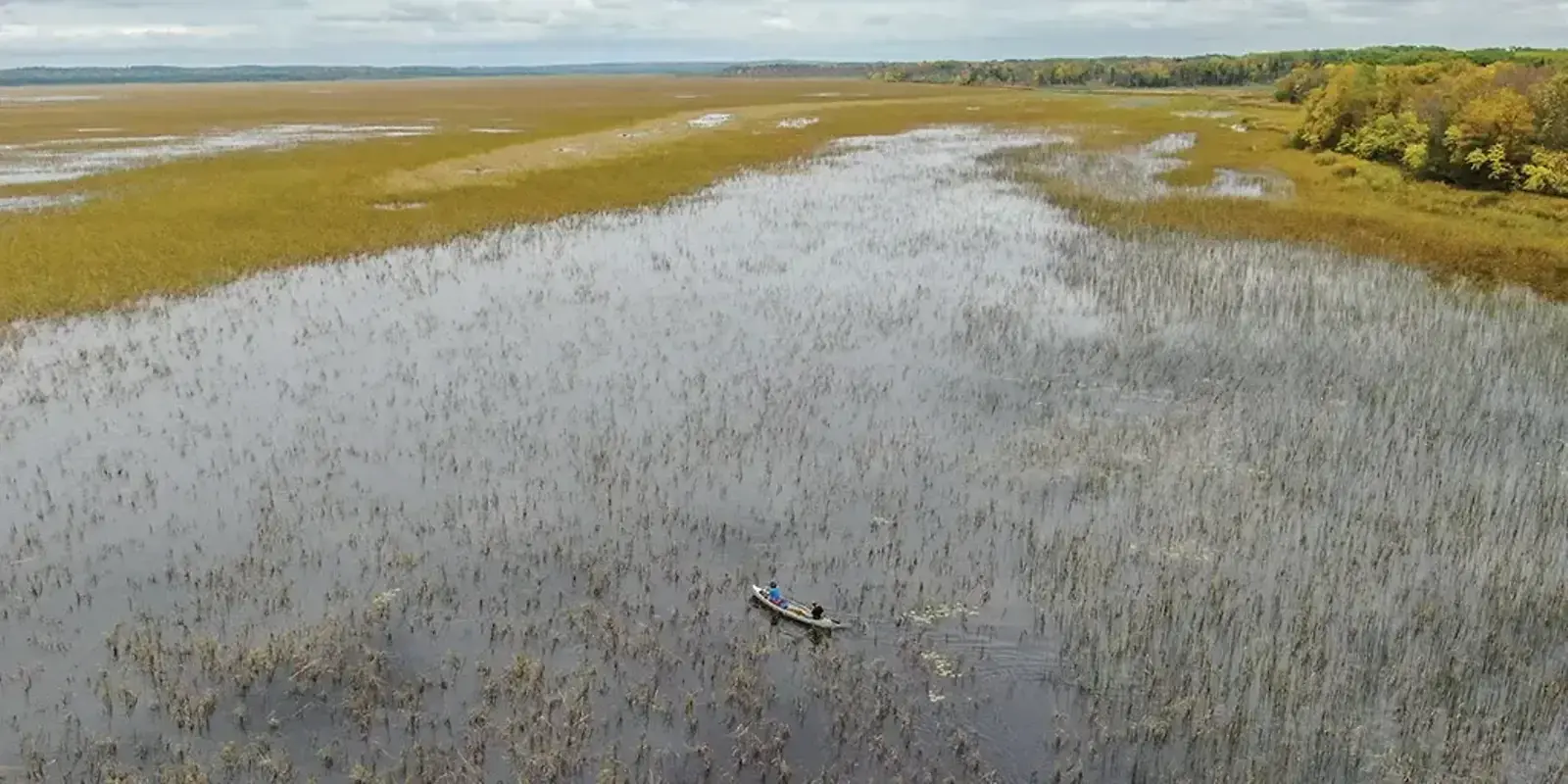 Floating Harvest — The Furrow, Summer 2024