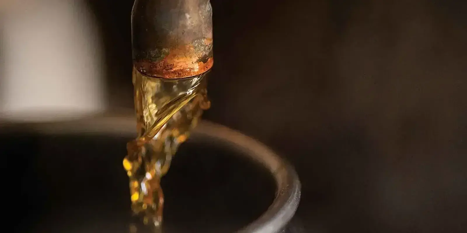 For the Love of Syrup — The Furrow, Spring 2024