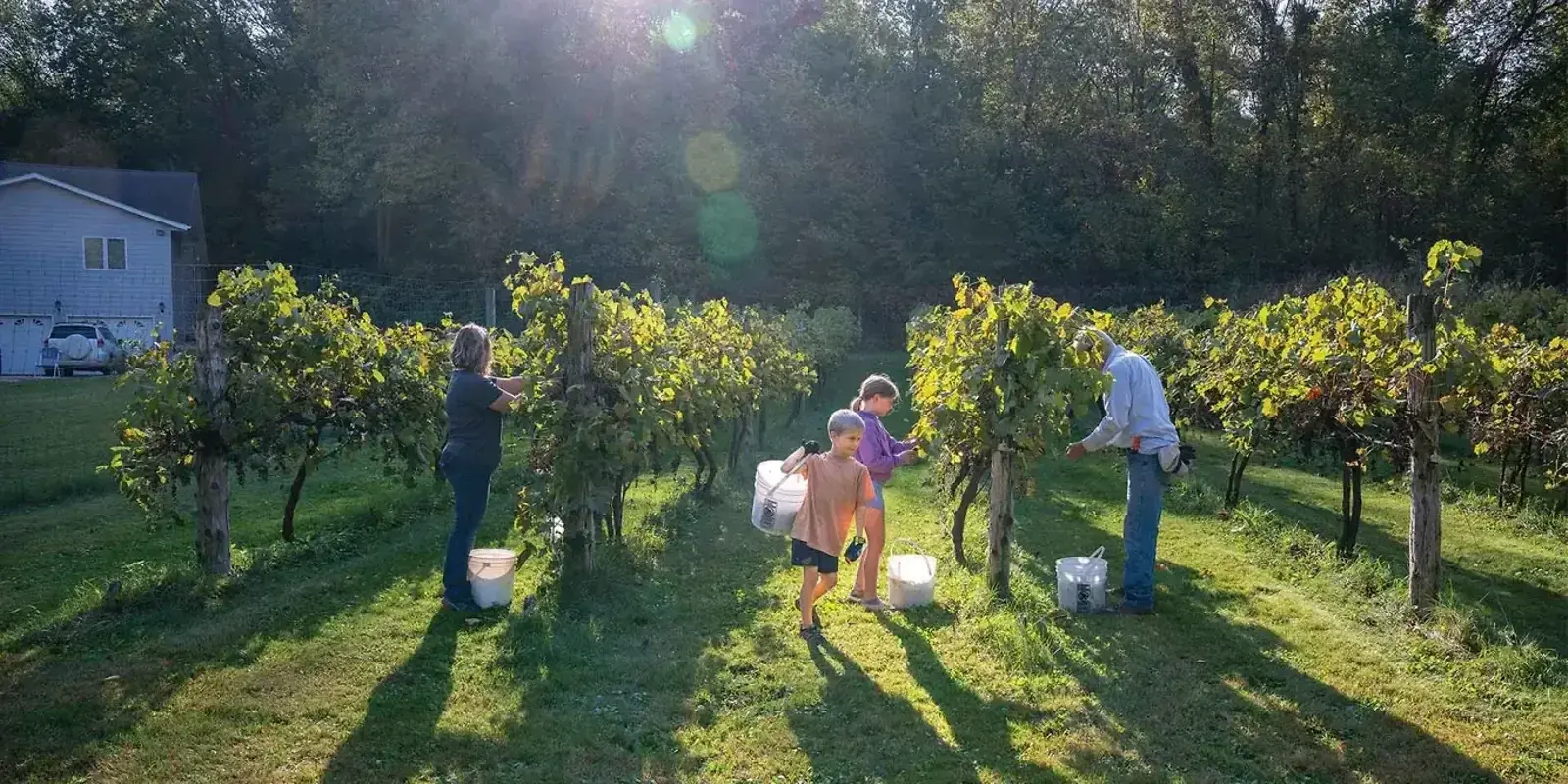 Juicy Front Yard — The Furrow, March 2026