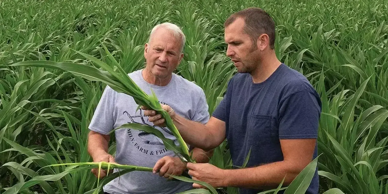 Lessons Learned — The Furrow, Spring 2024