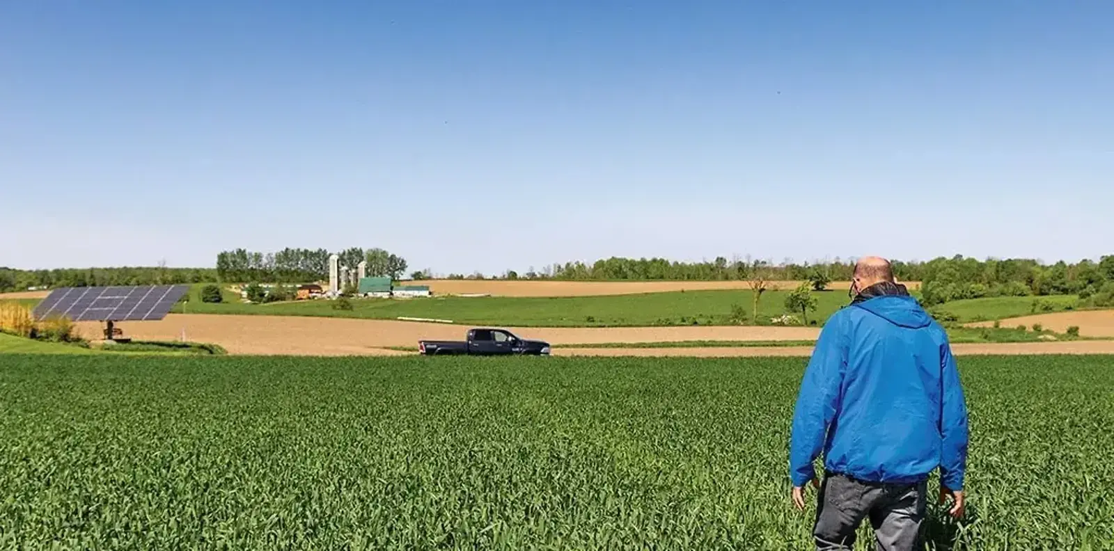 More Eyes the Better — The Furrow, Spring 2025