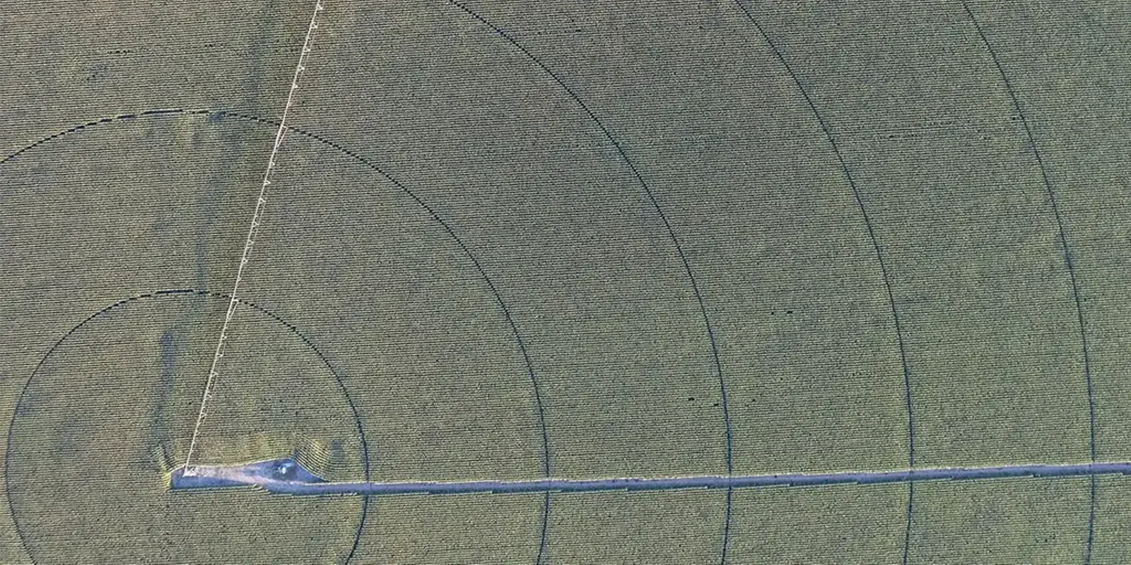 Numbers You Should Know — The Furrow, January 2025