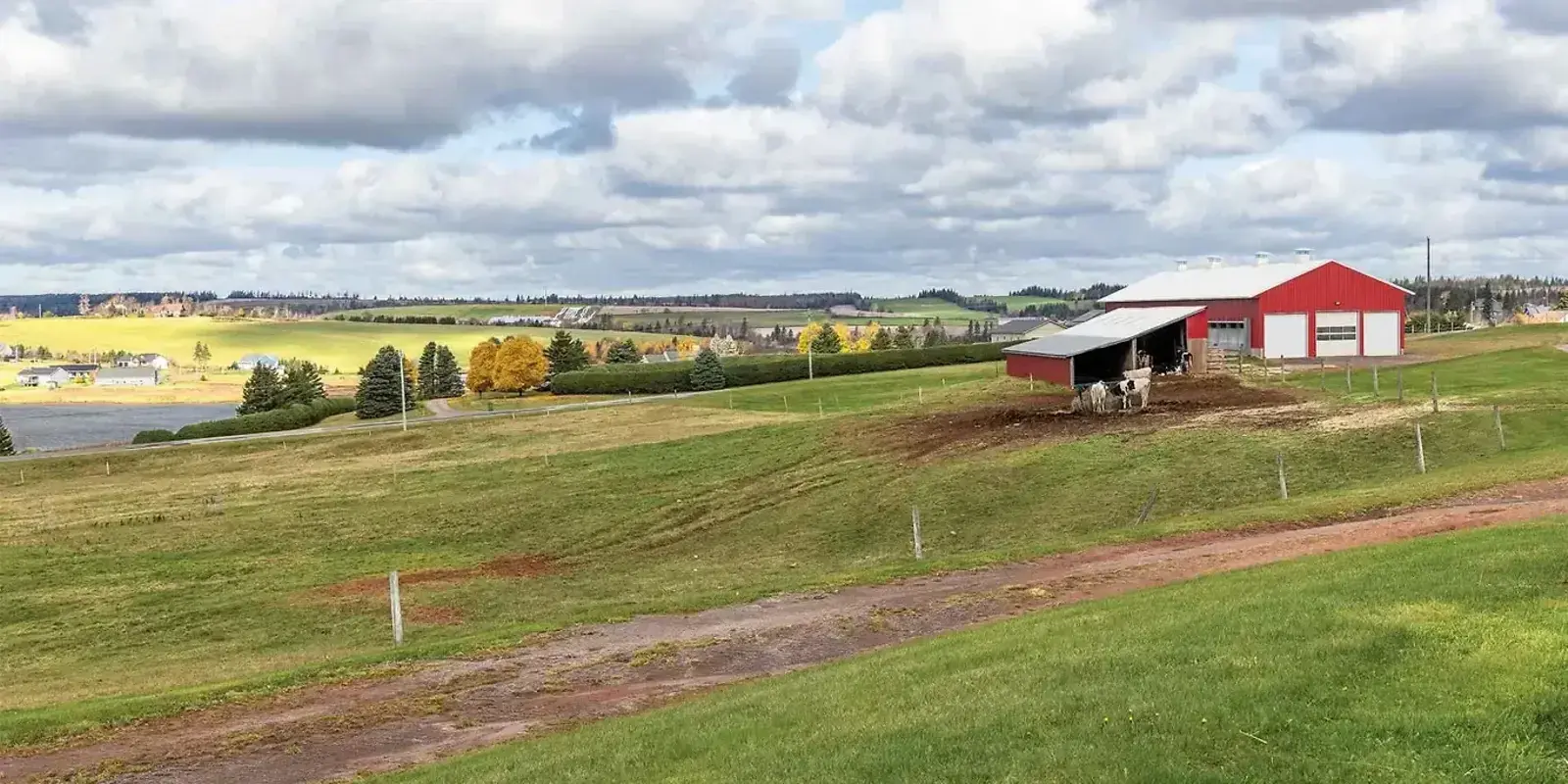 Passing the Torch — The Furrow, March 2026