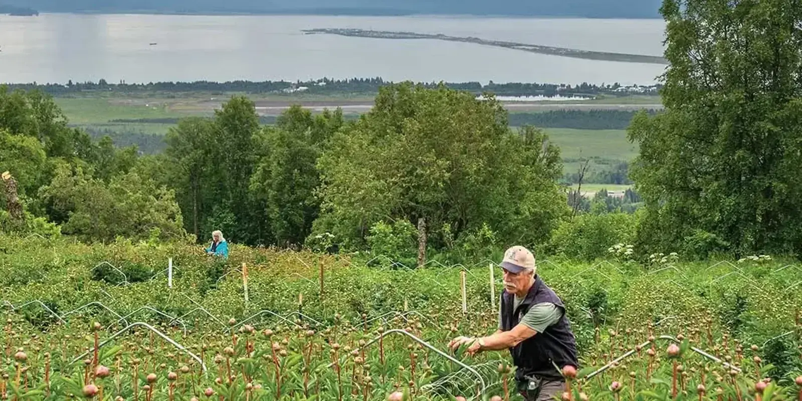 The Place of Peonies — The Furrow, March 2025