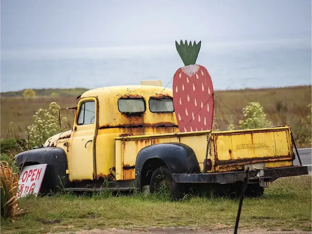 Another Roadside Attraction — The Furrow, Spring 2025