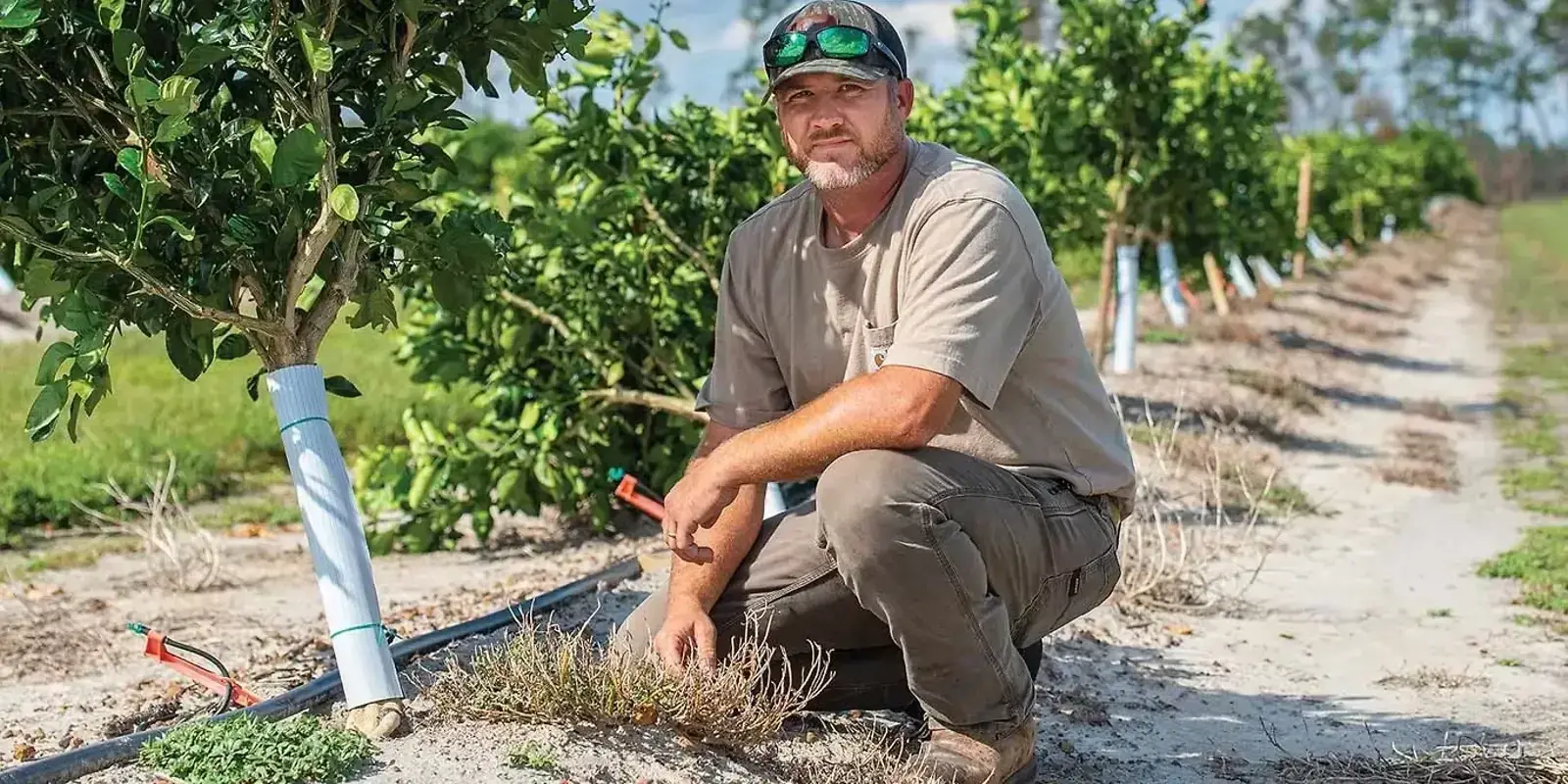 Safeguarding Your Rural Dream — The Furrow, Fall 2025