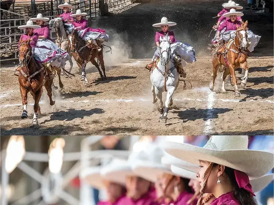 A Sport of Beauty — The Furrow, December 2024