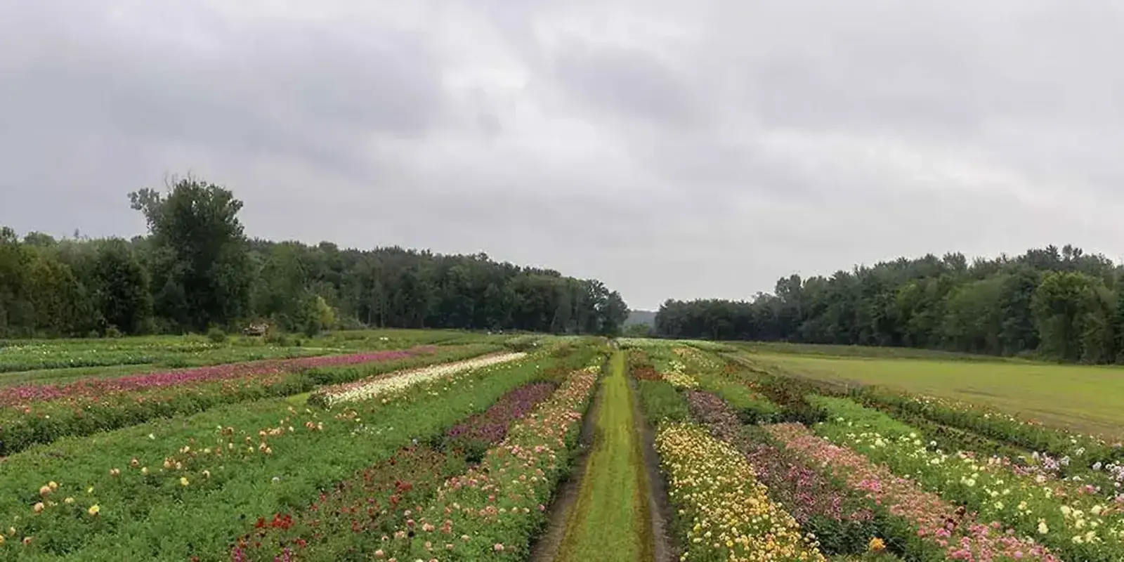 Starting From Scratch — The Furrow, March 2024