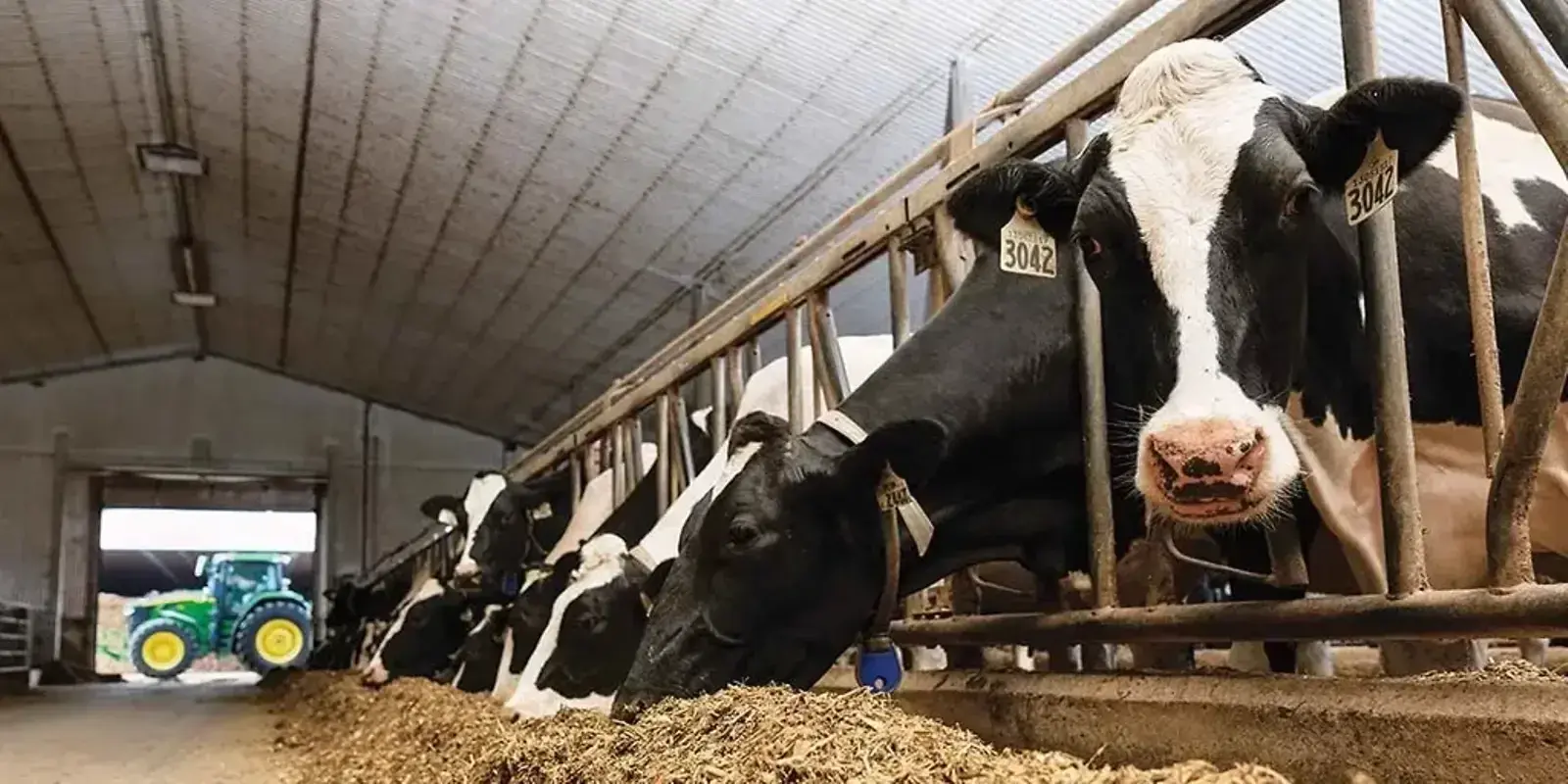 Sustainable Milk Production — The Furrow, Spring 2024