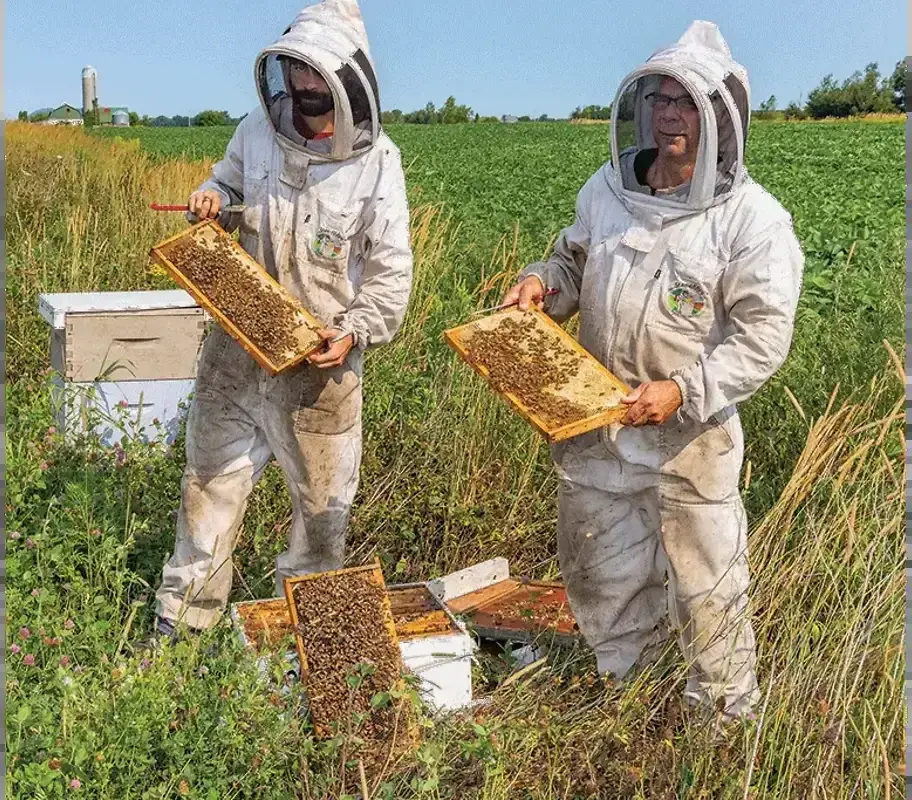 A Taste of Honey — The Furrow, April 2026