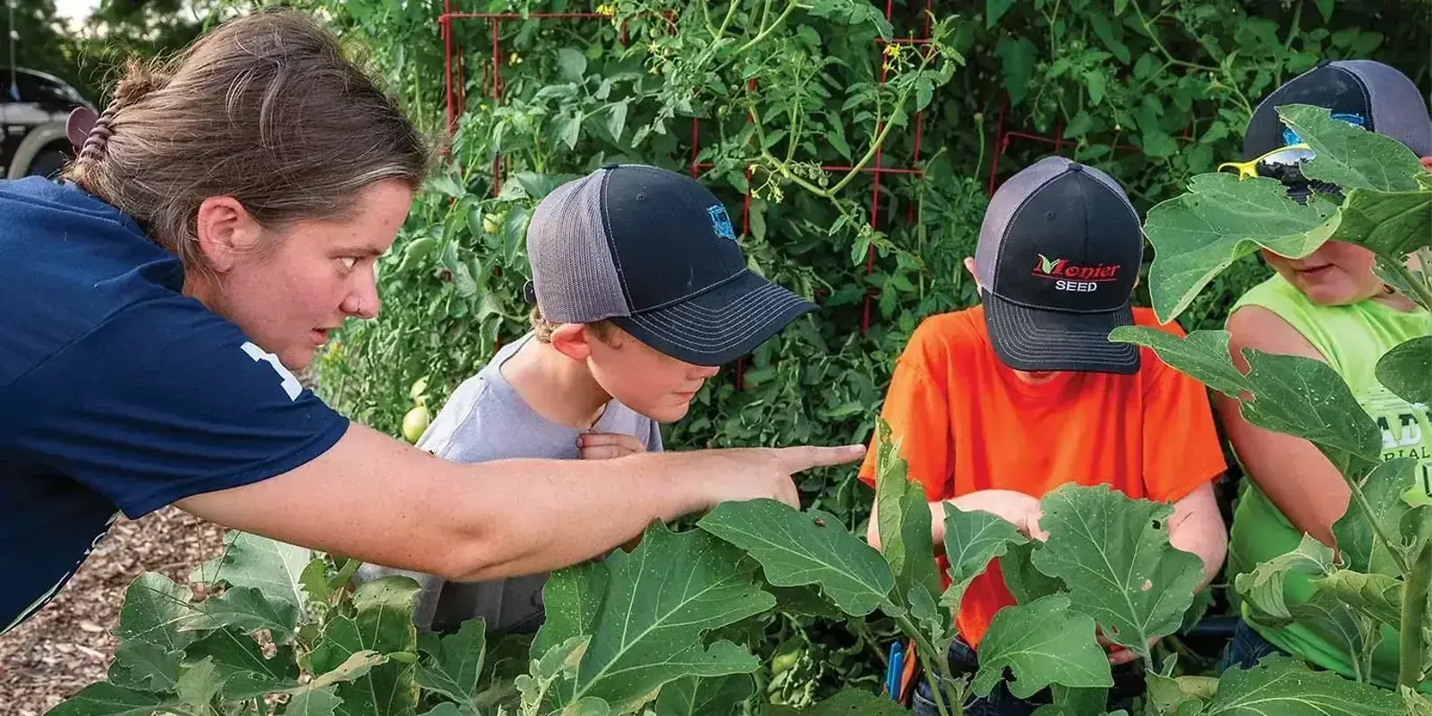 Teaching Through Tomatoes — The Furrow, January 2026